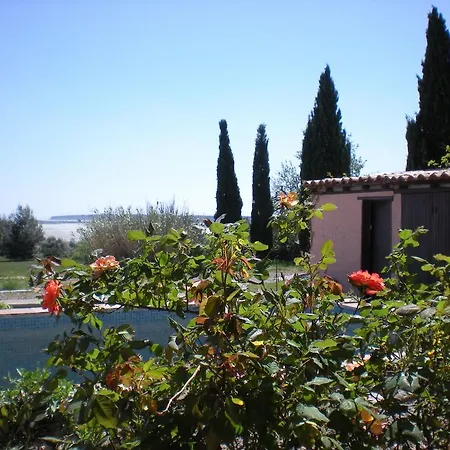 Villa Gorgeous In With Swimming Pool *